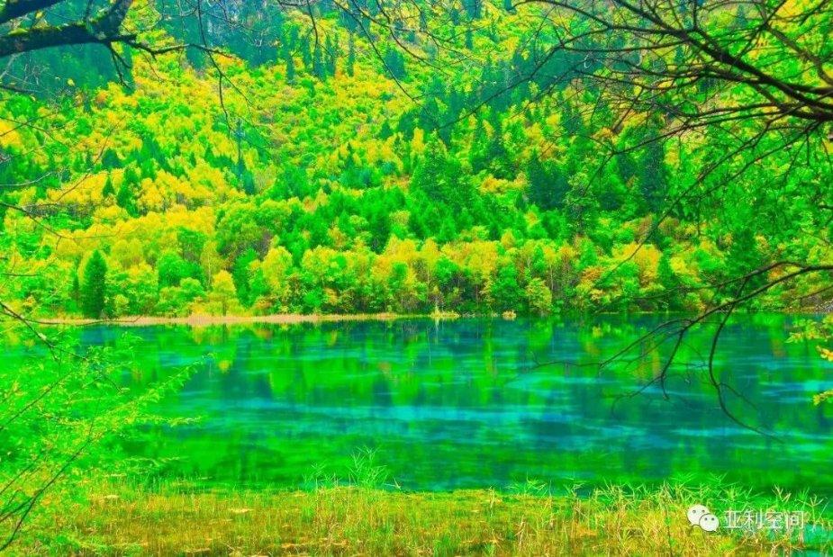 春雨直播app